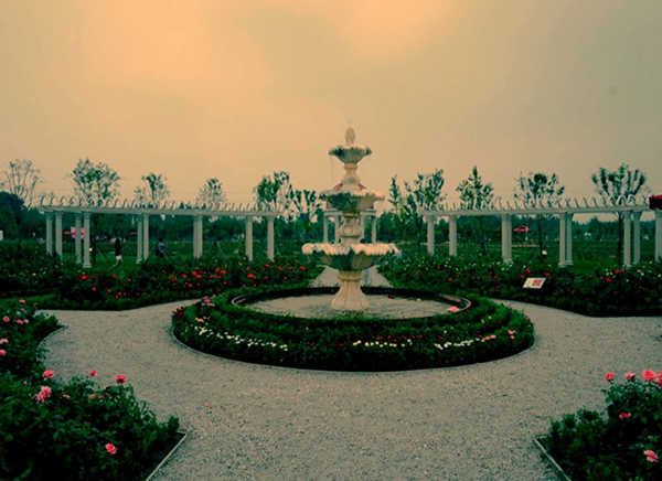 天津玫瑰莊園